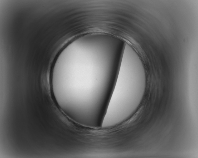 X0000089360796200706150822