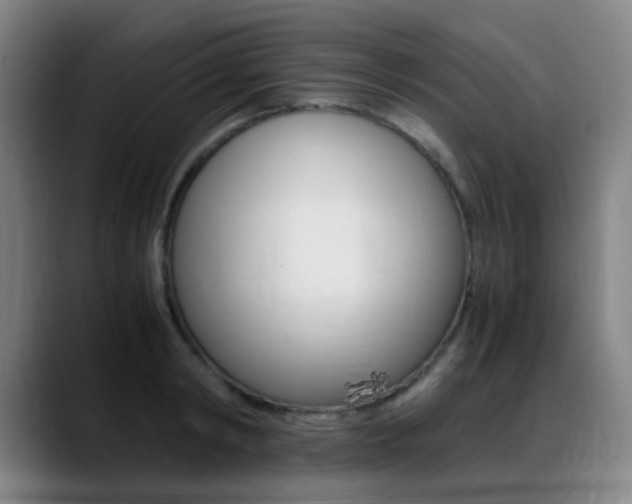 X0000089360798200706150822