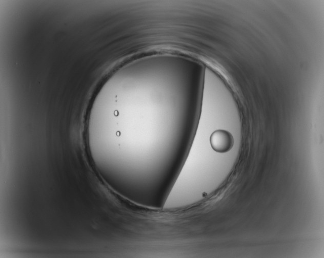 X0000089360799200706150822