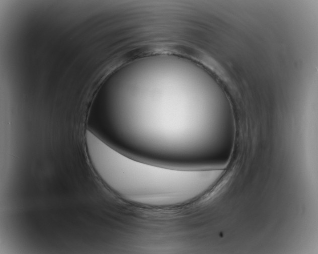 X0000089360801200706150822