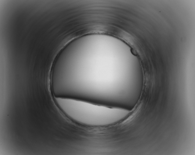 X0000089360802200706150822