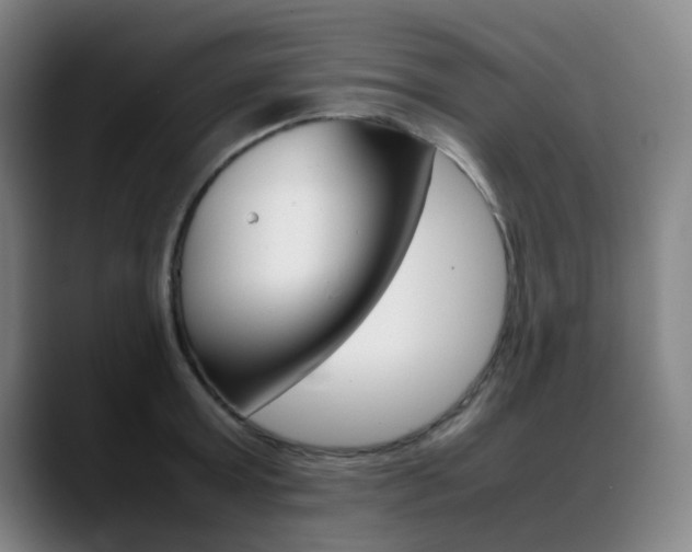 X0000089360803200706150822