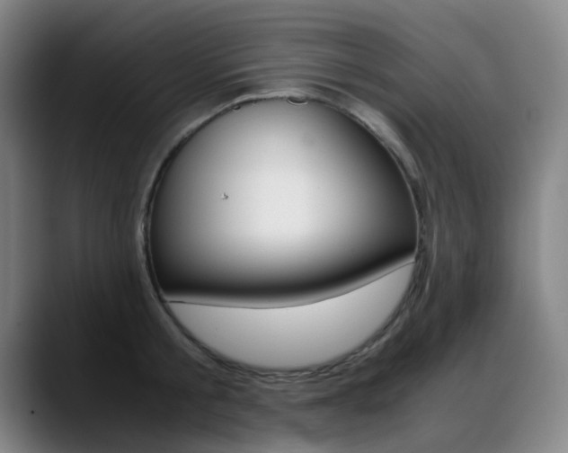 X0000089360805200706150822