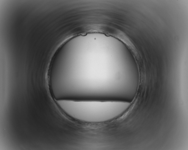 X0000089360806200706150822