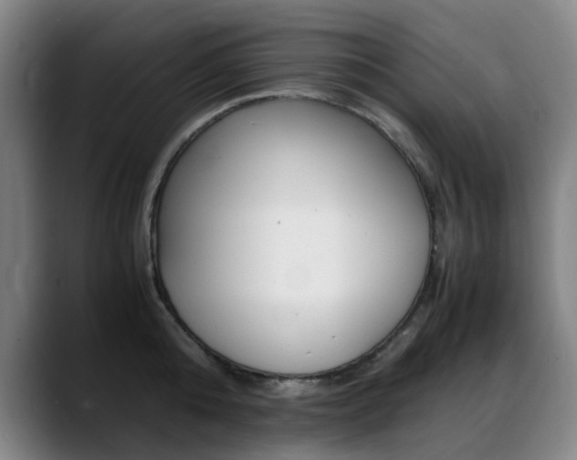 X0000089360808200706150822