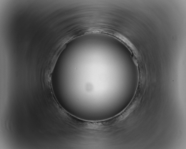 X0000089360809200706150822