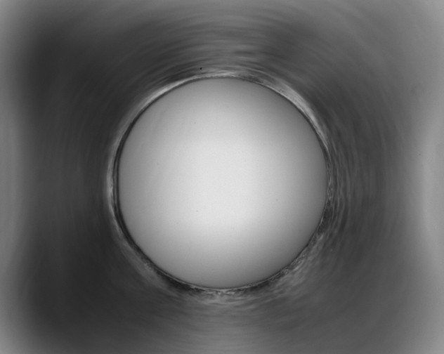 X0000089360811200706150822
