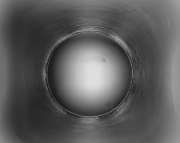 X0000089360813200706150822