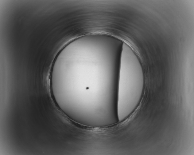 X0000089360814200706150822