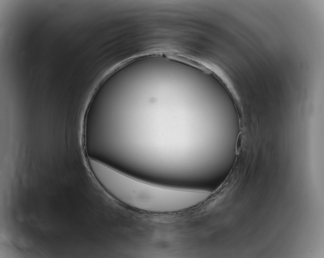 X0000089360815200706150822