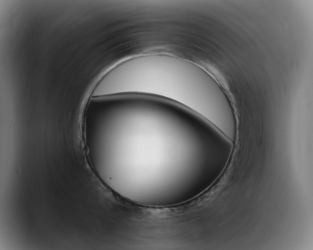 X0000089360816200706150822