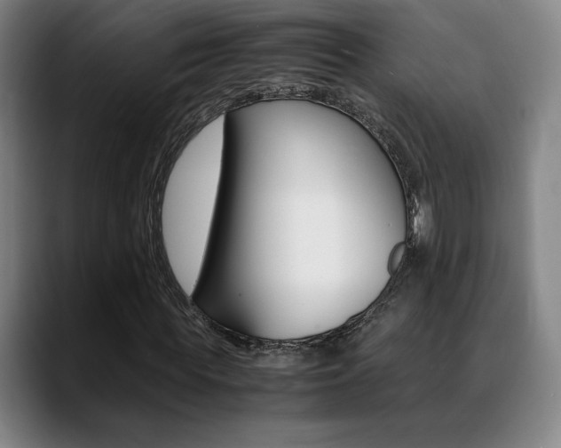 X0000089360819200706150821