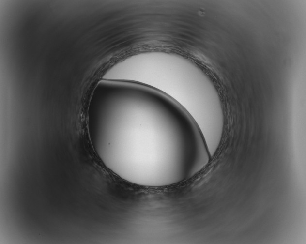 X0000089360822200706150821