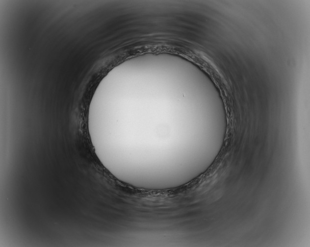 X0000089360823200706150821