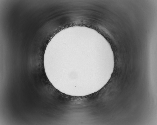 X0000089360824200706150821