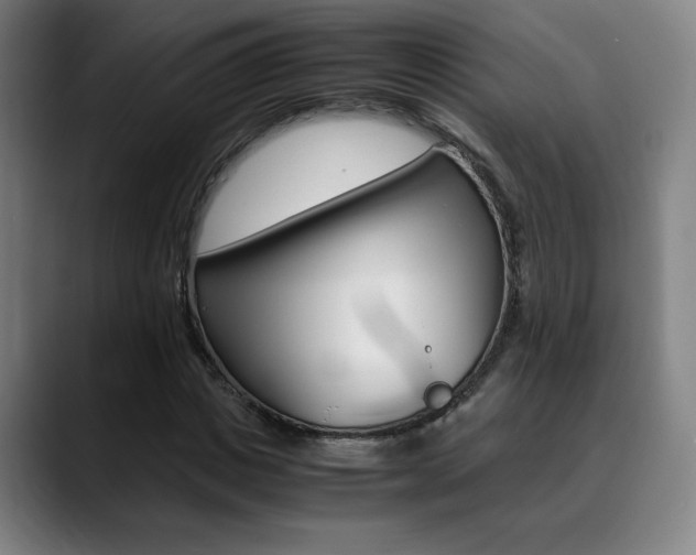 X0000089360825200706150821