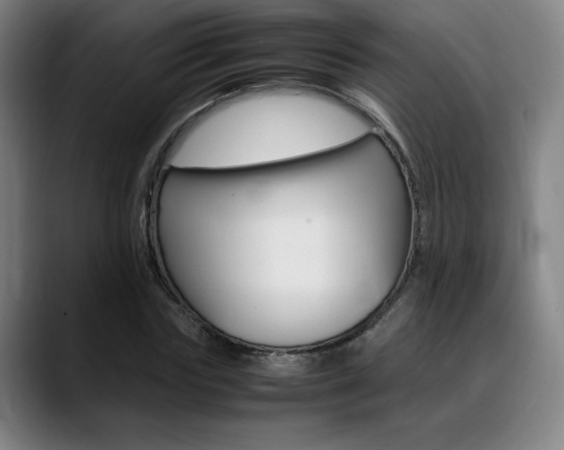 X0000089360827200706150821
