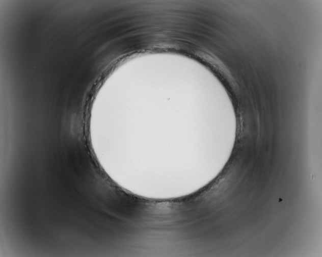 X0000089360828200706150821