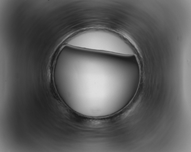 X0000089360829200706150821