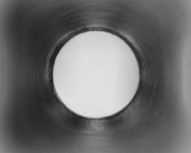 X0000089360832200706150821