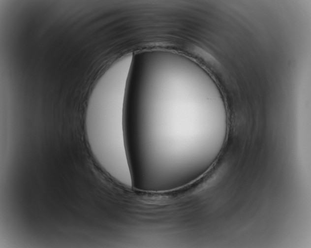 X0000089360833200706150821