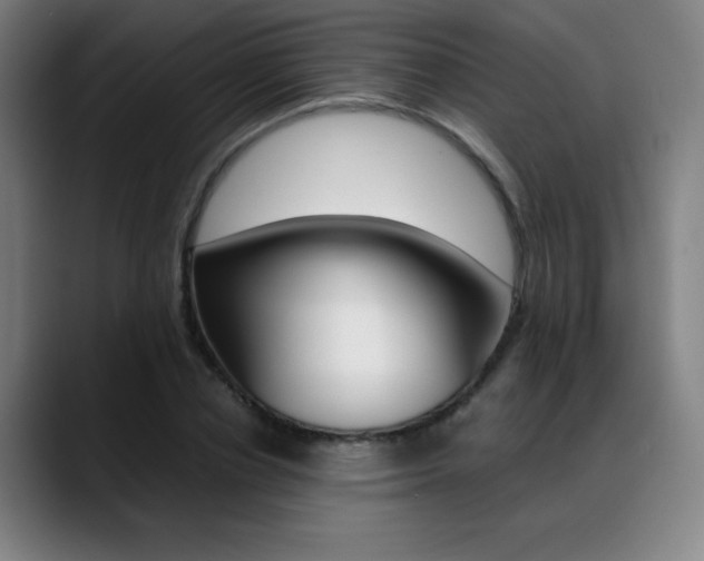 X0000089360834200706150821