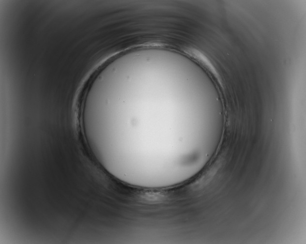 X0000089360835200706150821