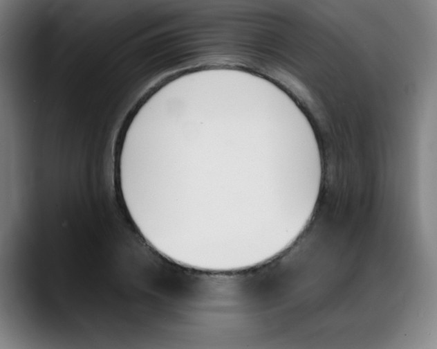 X0000089360836200706150821