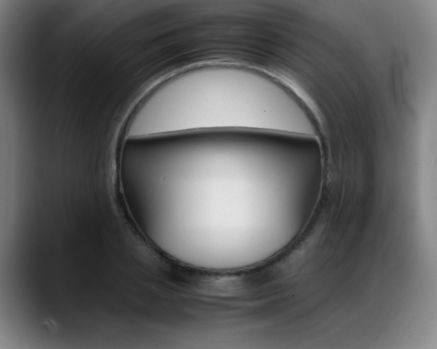 X0000089360837200706150821