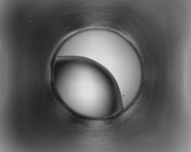 X0000089360838200706150821