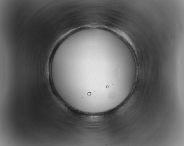 X0000089360839200706150821
