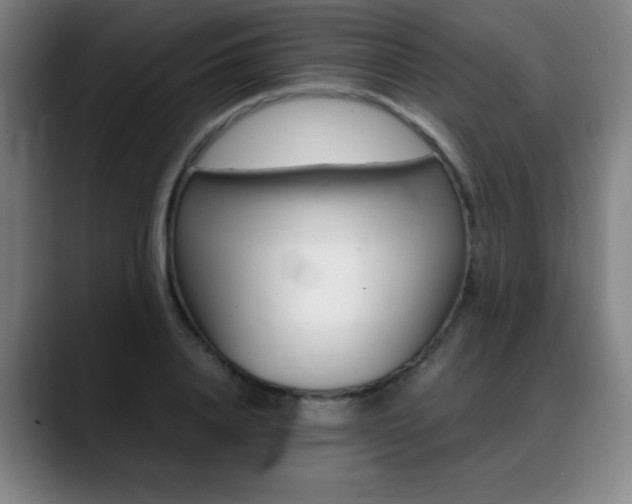 X0000089360840200706150821