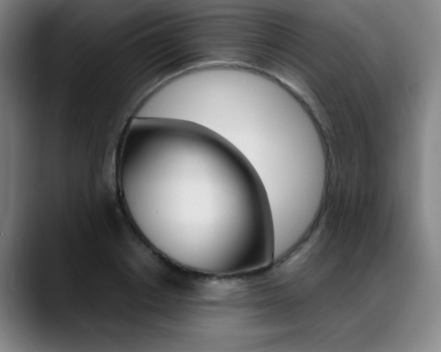 X0000089360842200706150821