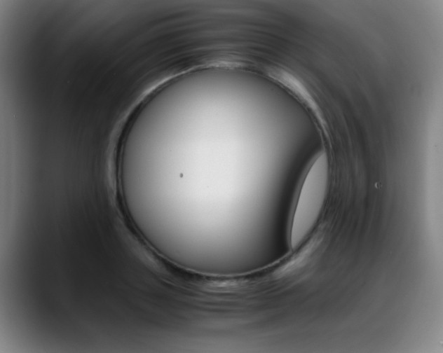 X0000089360843200706150821