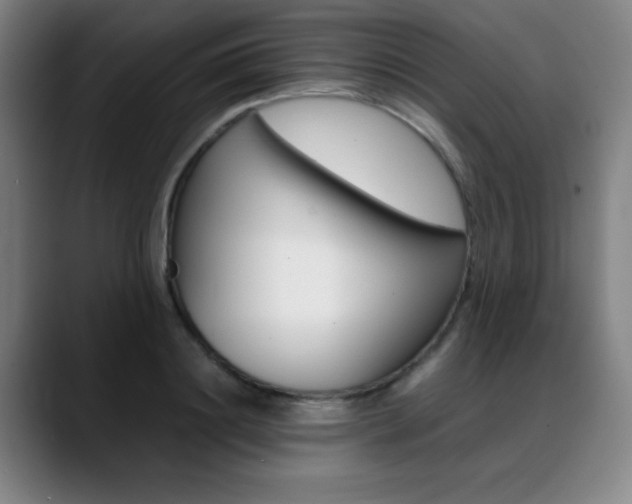 X0000089360844200706150821
