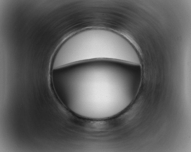 X0000089360845200706150821