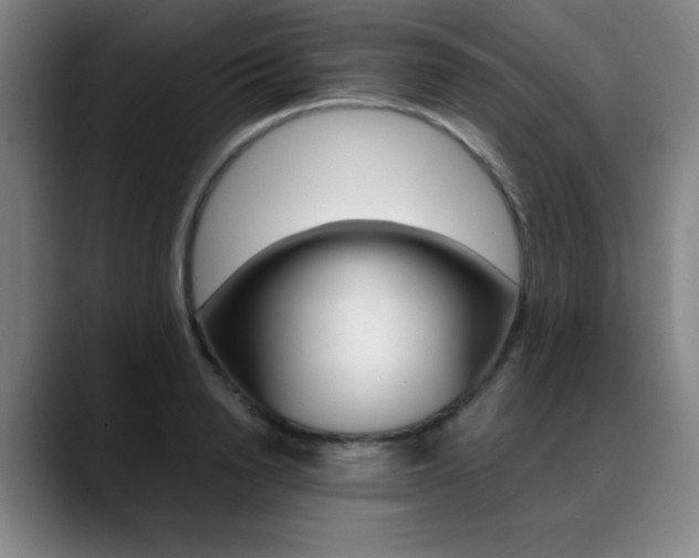 X0000089360846200706150821