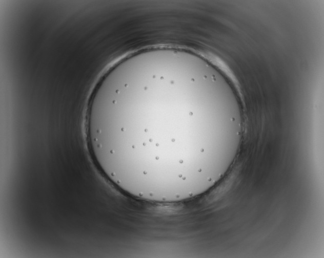 X0000089360847200706150821