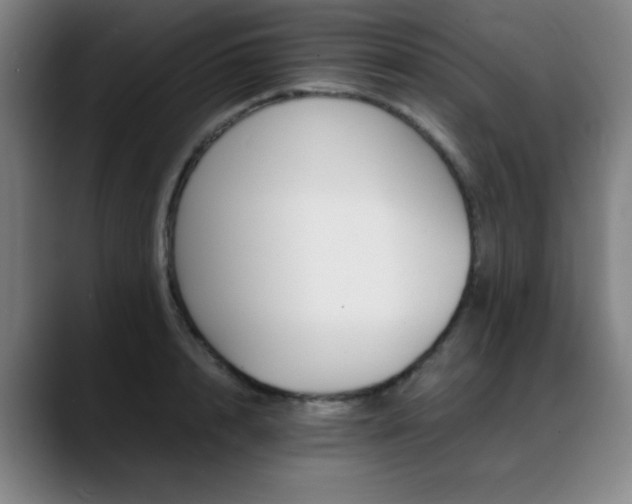 X0000089360848200706150822