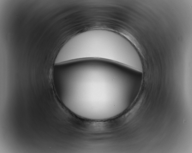 X0000089360849200706150822