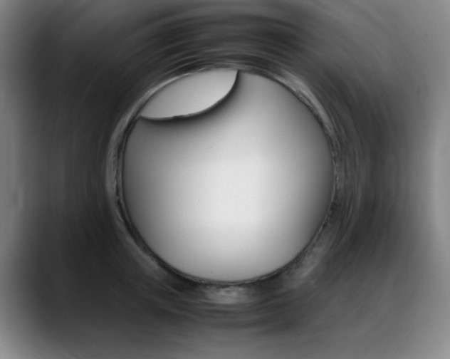 X0000089360851200706150822