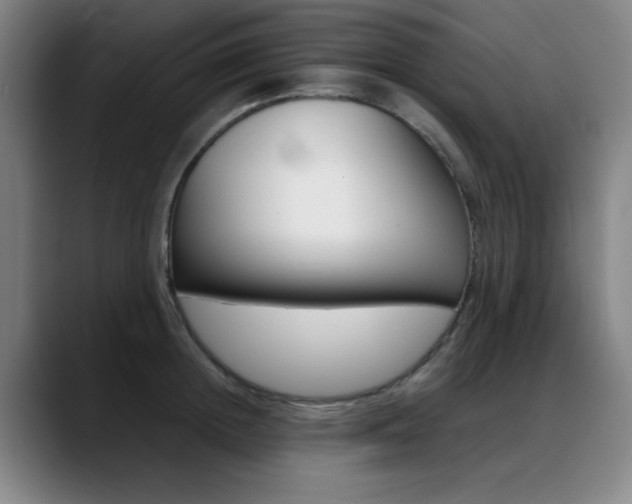 X0000089360852200706150822