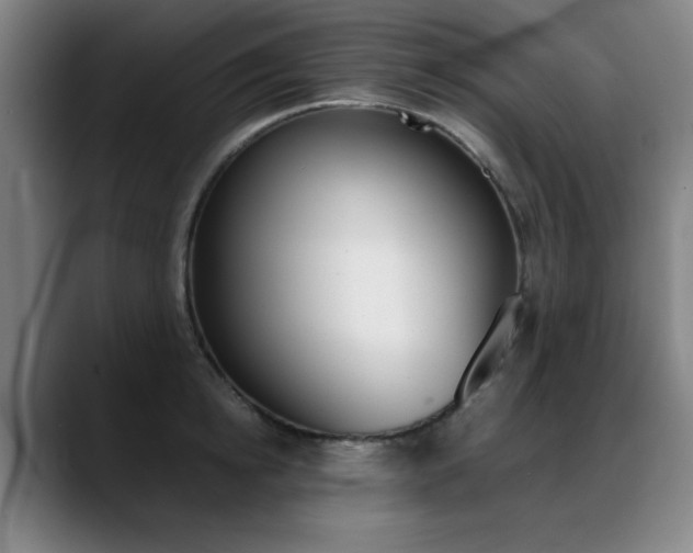 X0000089360854200706150822