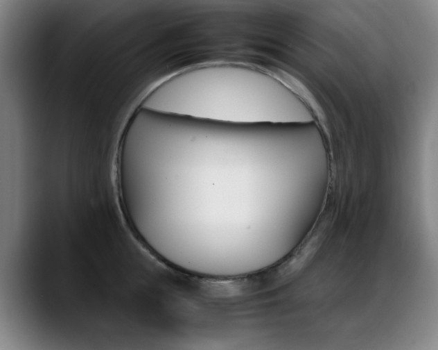 X0000089360855200706150822