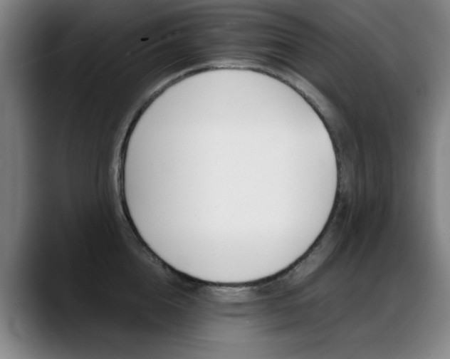 X0000089360856200706150822