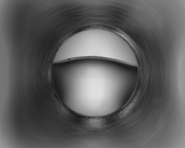 X0000089360857200706150822