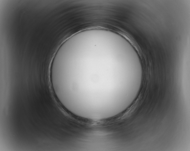 X0000089360858200706150822