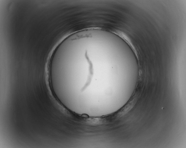 X0000089360859200706150822