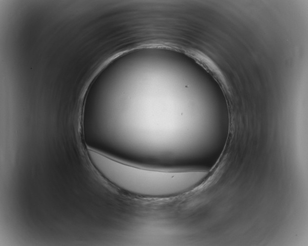 X0000089360860200706150822