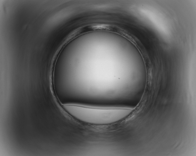 X0000089360861200706150822